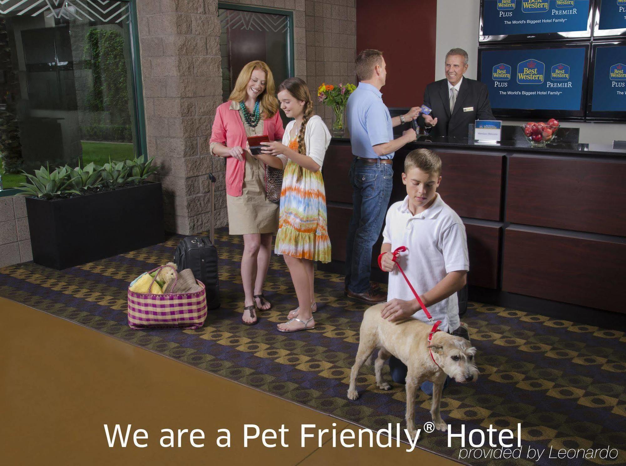 Best Western Conway Εξωτερικό φωτογραφία